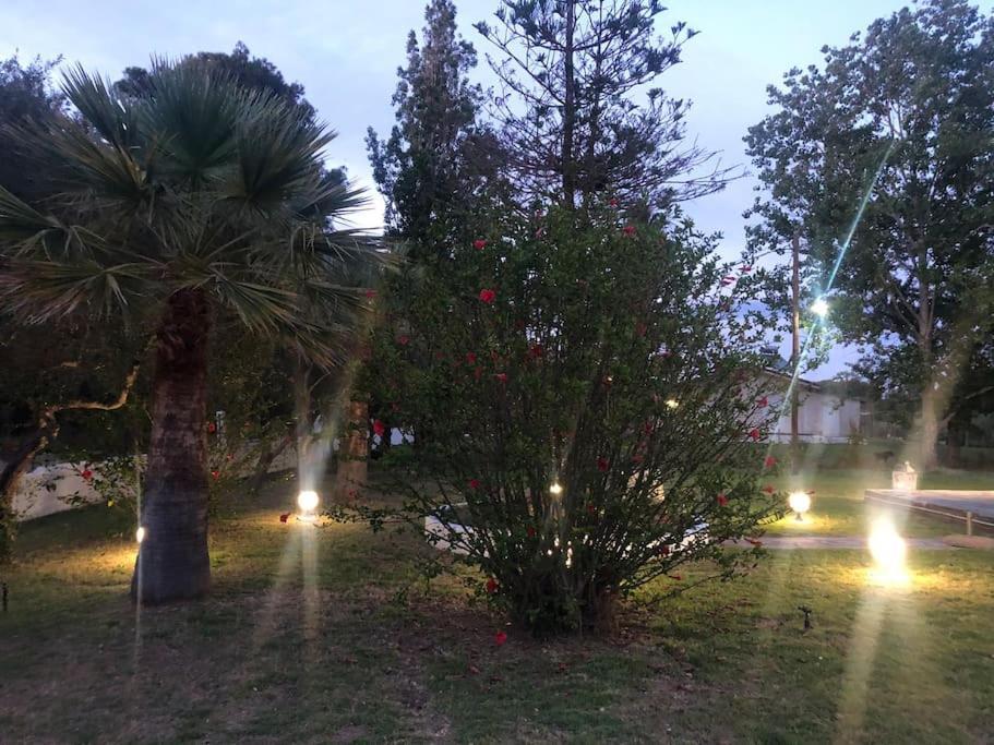 Villa Anastasia! In Strofylia Pine Forest!!! Manolas エクステリア 写真
