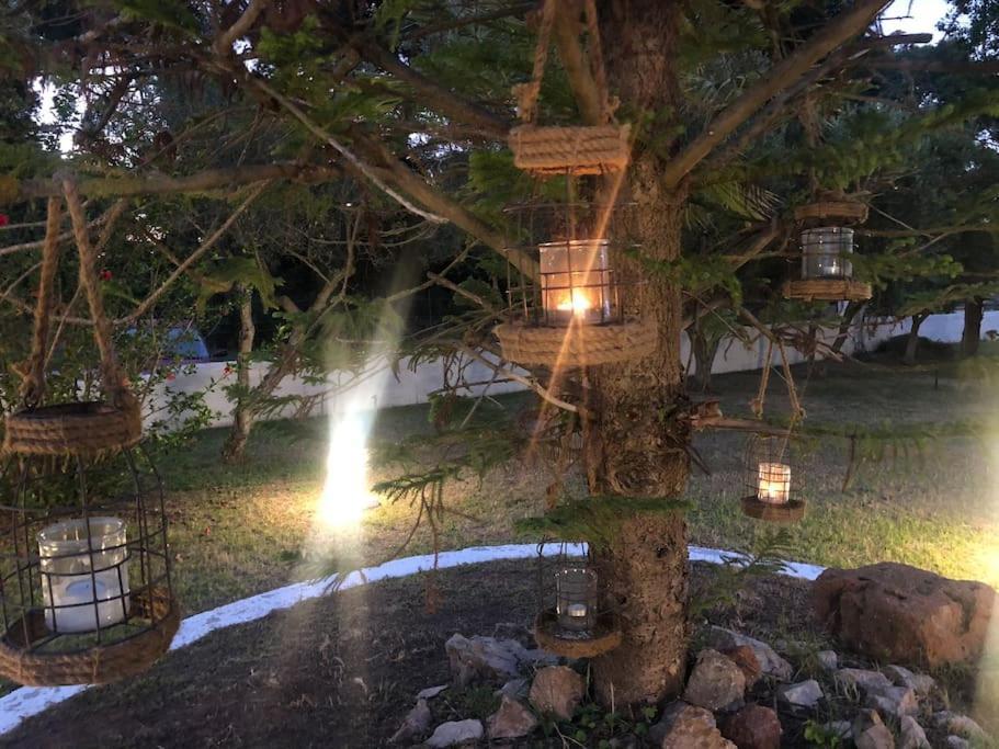 Villa Anastasia! In Strofylia Pine Forest!!! Manolas エクステリア 写真