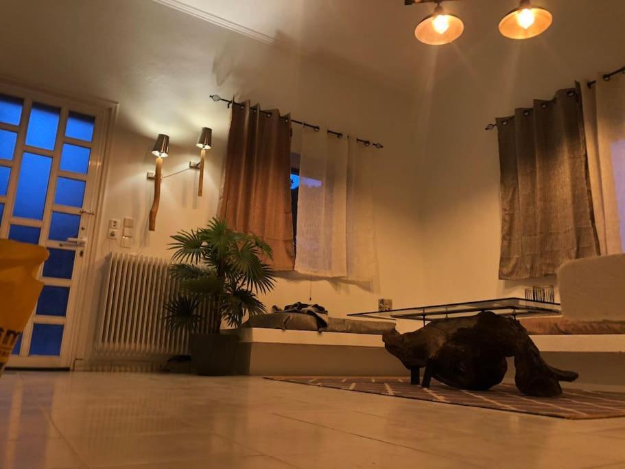 Villa Anastasia! In Strofylia Pine Forest!!! Manolas エクステリア 写真