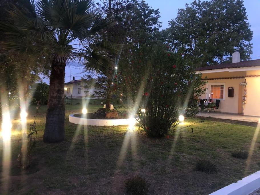 Villa Anastasia! In Strofylia Pine Forest!!! Manolas エクステリア 写真