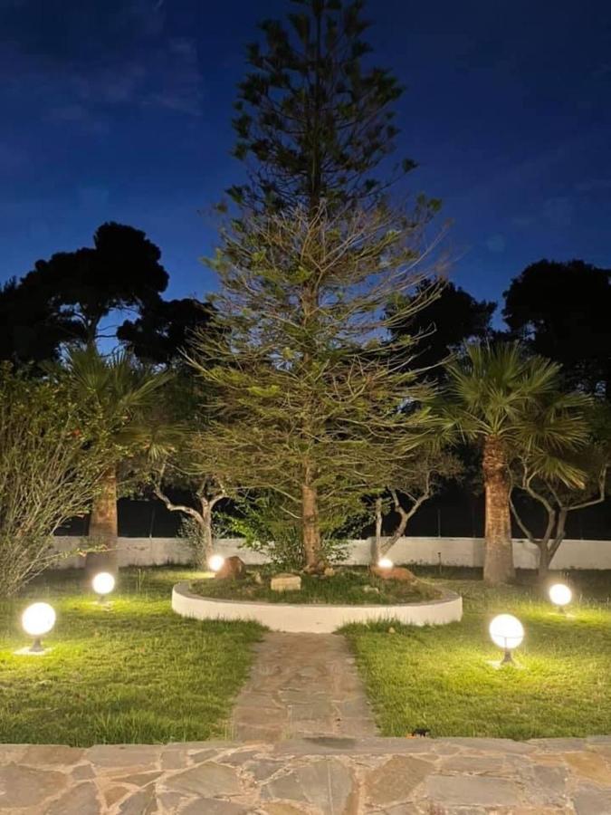 Villa Anastasia! In Strofylia Pine Forest!!! Manolas エクステリア 写真